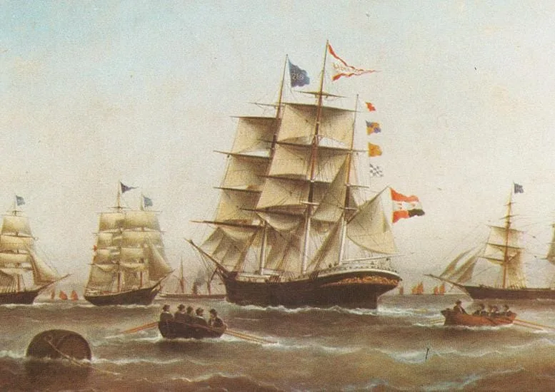 Barque Stefano 163 scale 44.13 112.1cm Model Ship Kits MarisStella